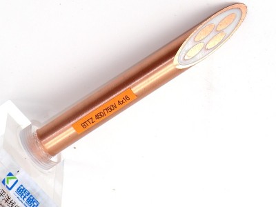 bttz電纜有五芯的嗎？