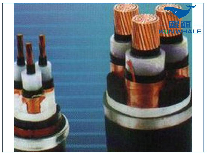 河南太平洋電纜淺談想要家裝電線不被坑，那就看好這五步